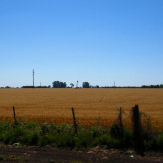 Argentina_0127