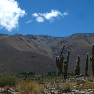 Argentina_0450