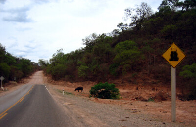 Bolivia2 0162