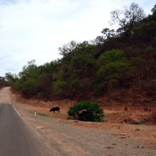 Bolivia2_0162