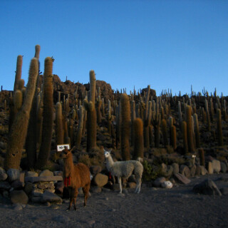 Bolivia2_0854