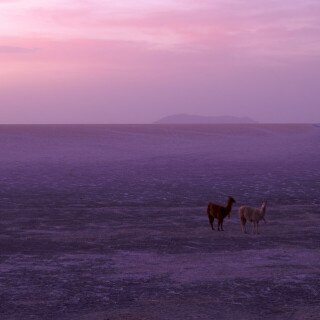 Bolivia2_0891