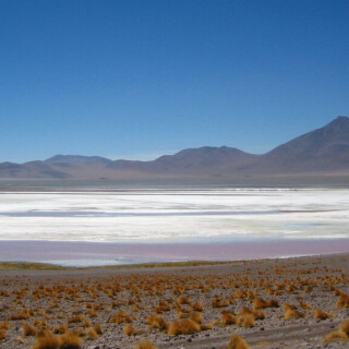 Bolivia2_1376