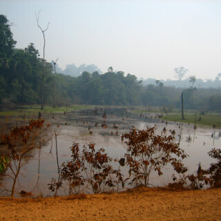 Brazil_0085