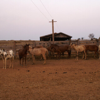 Brazil_0130