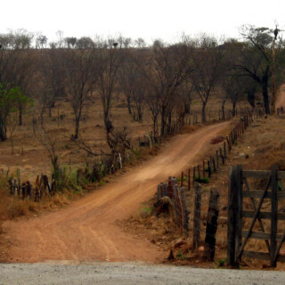 Brazil_0870