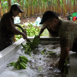 Colombia_325