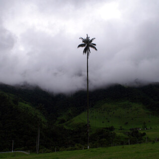 Colombia_374