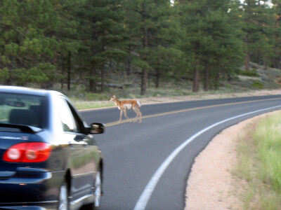 Colorado 319