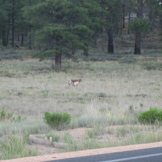 Colorado-321