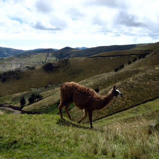 Ecuador_103