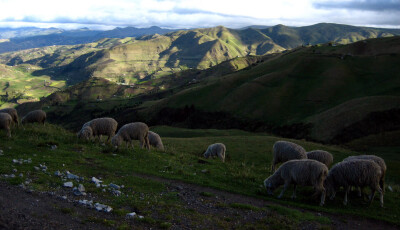 Ecuador 187