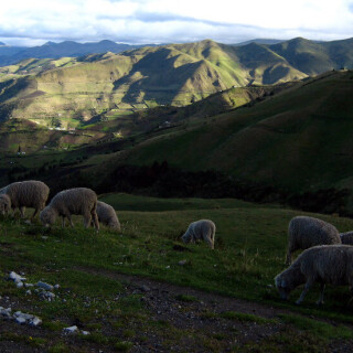 Ecuador_187