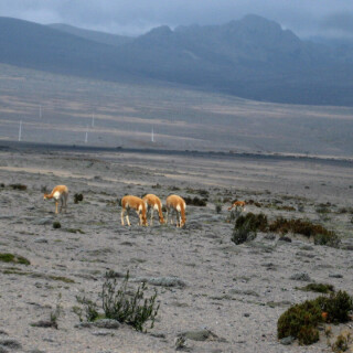 Ecuador_257