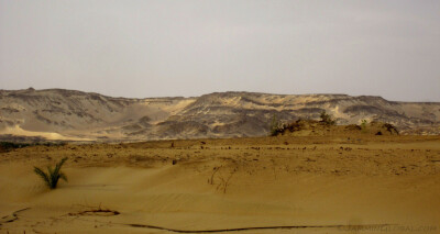 Egypt_0864.jpeg