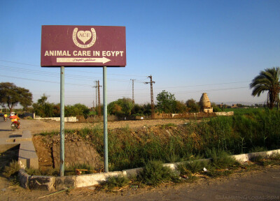 Egypt_1428.jpeg