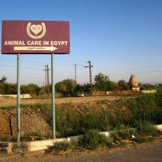 Egypt_1428