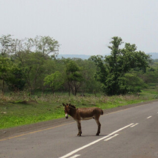 Ethiopia_0019