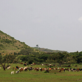 Ethiopia_0259