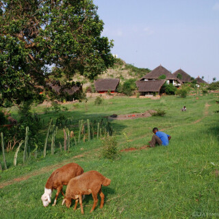 Ethiopia_0436