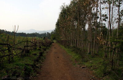 Ethiopia 0629