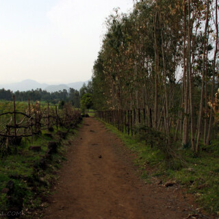 Ethiopia_0629