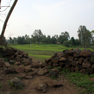 Ethiopia_0634