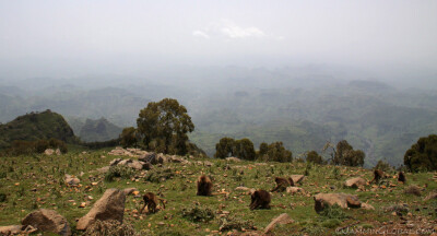 Ethiopia_0735.jpeg