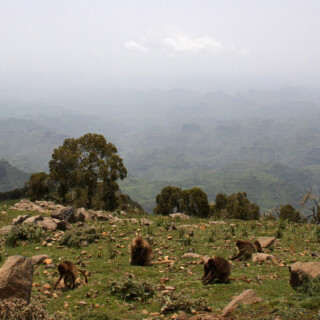 Ethiopia_0735