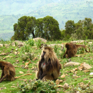 Ethiopia_0768