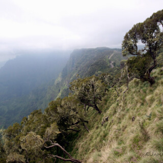 Ethiopia_0806