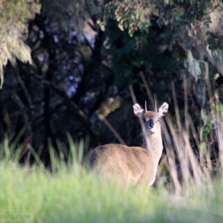 Ethiopia_0966