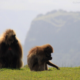 Ethiopia_0999