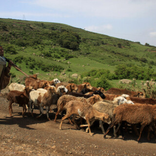 Ethiopia_1029