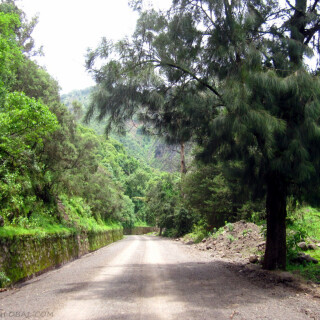 Ethiopia_1042