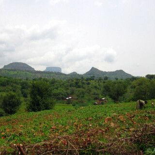 Ethiopia_1202