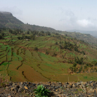 Ethiopia_1399