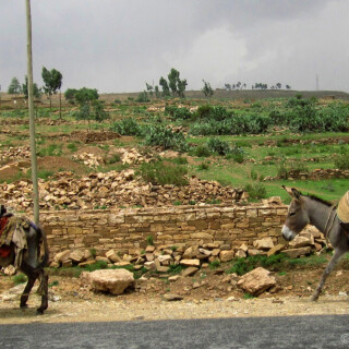 Ethiopia_1448