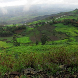 Ethiopia_1494p