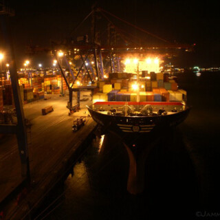 Grimaldi_118
