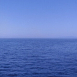 Grimaldi_129