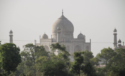 India 24 Taj 2