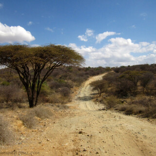 Kenya_0289