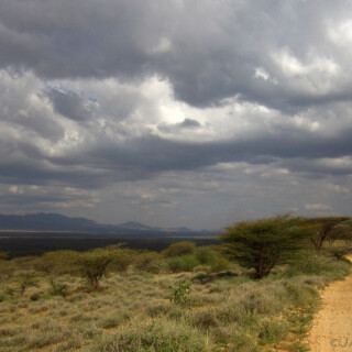 Kenya_0306