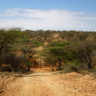 Kenya_0465