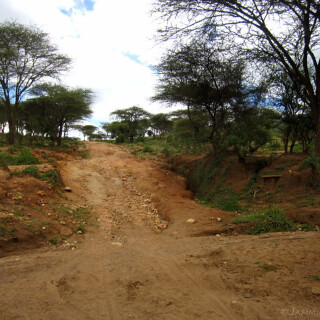 Kenya_0477