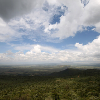 Kenya_2271