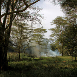 Kenya_2858