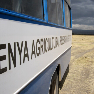 Kenya_3182