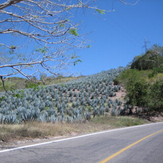 Mexico_076